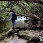 Review photo of Mountain Bridge Wilderness Area Trailside Camping — Caesars Head State Park by Maddi P., September 30, 2018