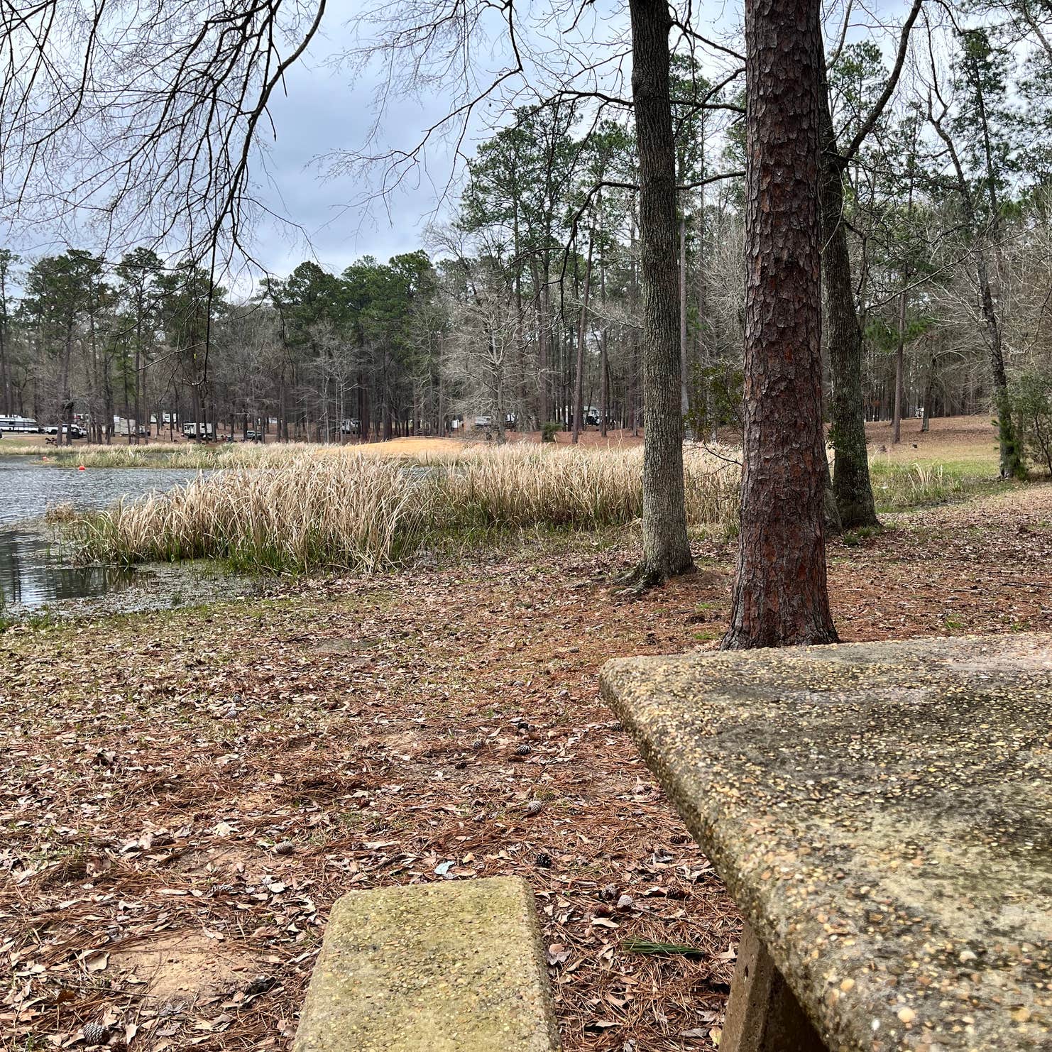 Indian Creek Recreation Area Camping | Woodworth, LA