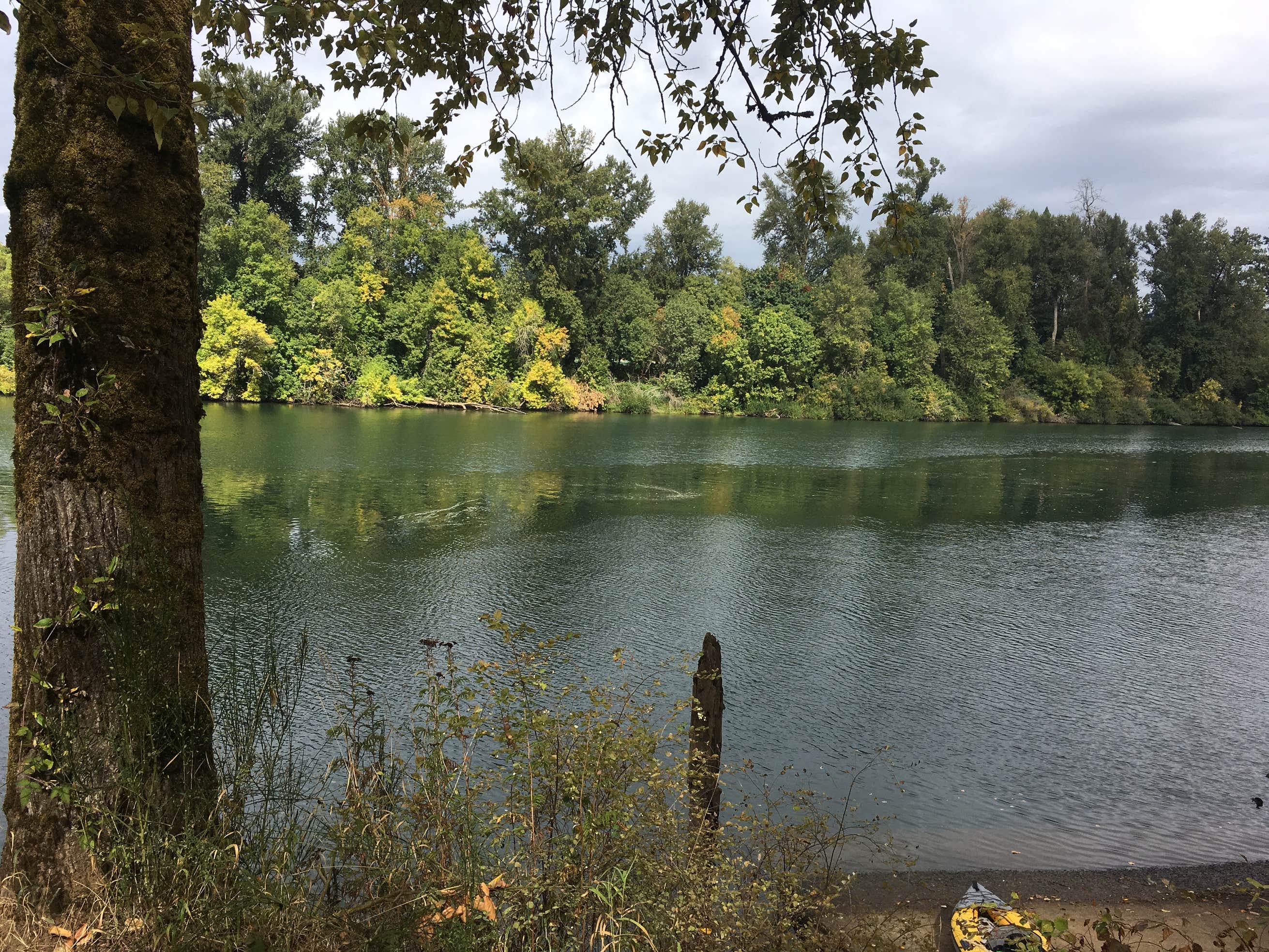 Molalla River State Park The Dyrt