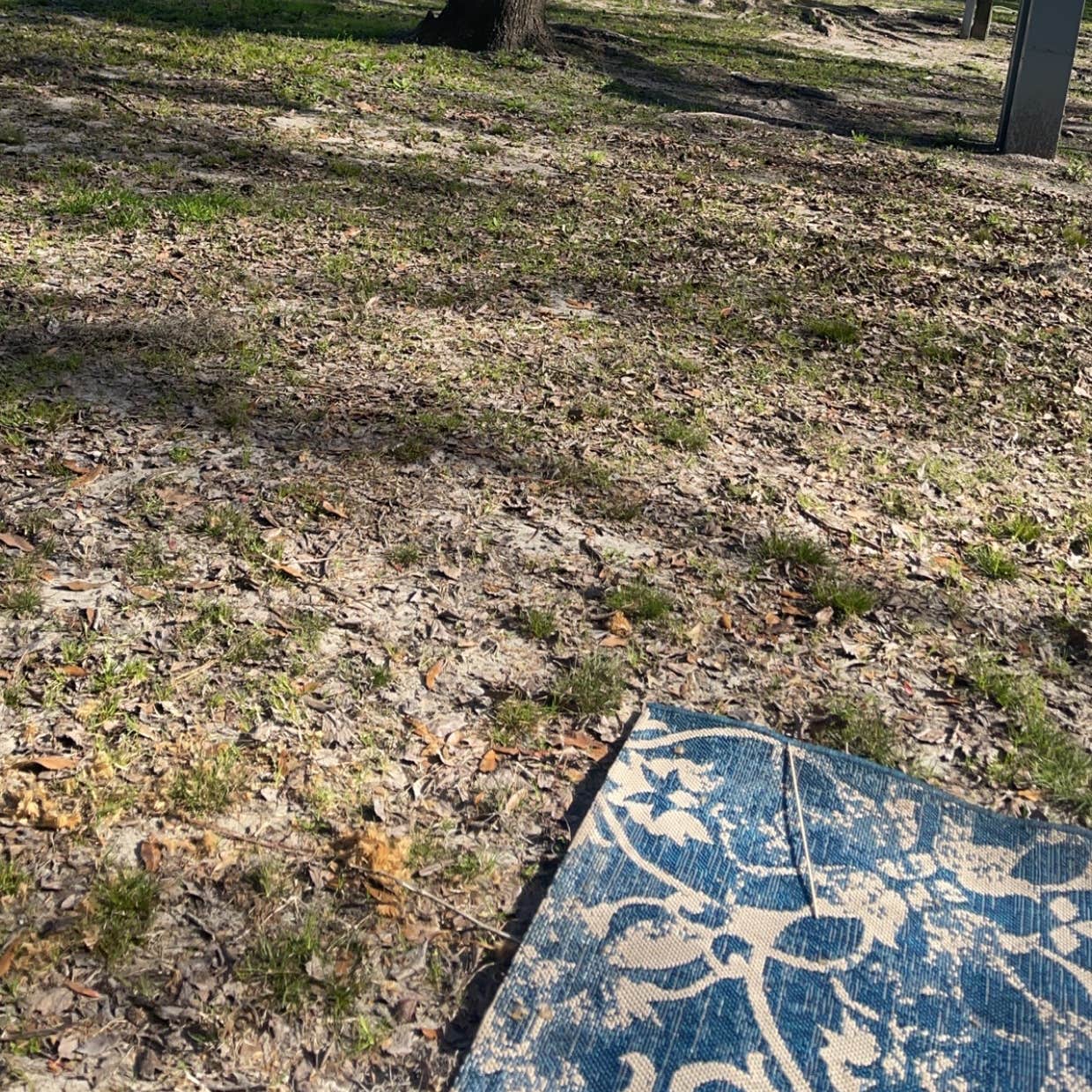 Altamaha Regional Park Camping Brunswick, GA