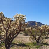 Review photo of Darby Wells Rd BLM Dispersed by Becky , February 23, 2023