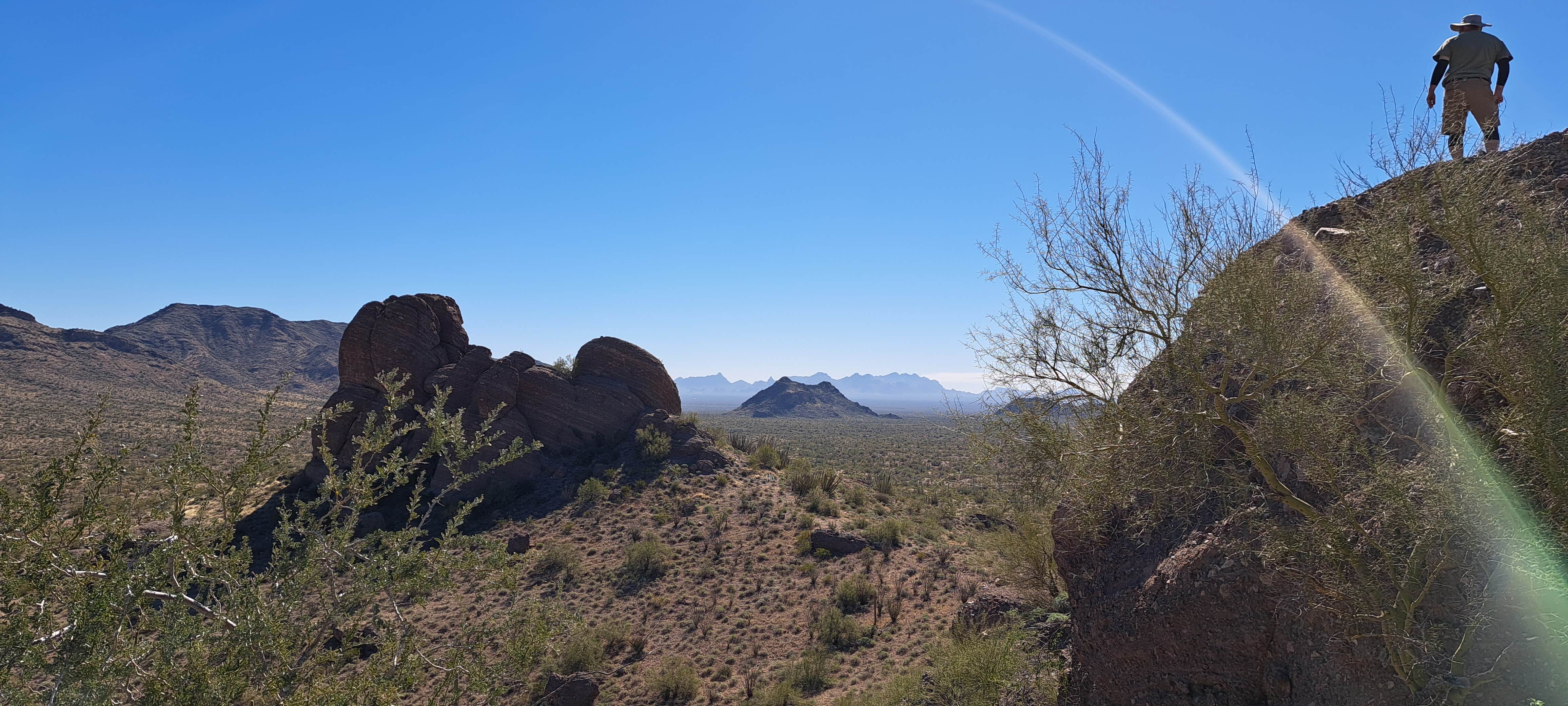 Becky's photo of a dispersed camping area at Darby Wells Rd BLM Dispersed near Organ Pipe Cactus National Monument