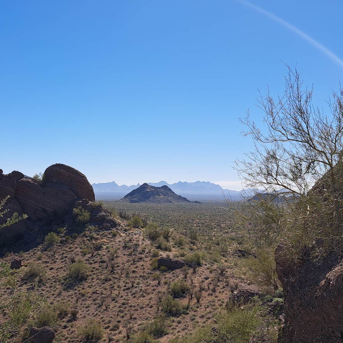 Darby Wells Rd BLM Dispersed Camping Ajo, AZ