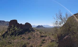 Becky's photo of a dispersed camping area at Darby Wells Rd BLM Dispersed near Organ Pipe Cactus National Monument