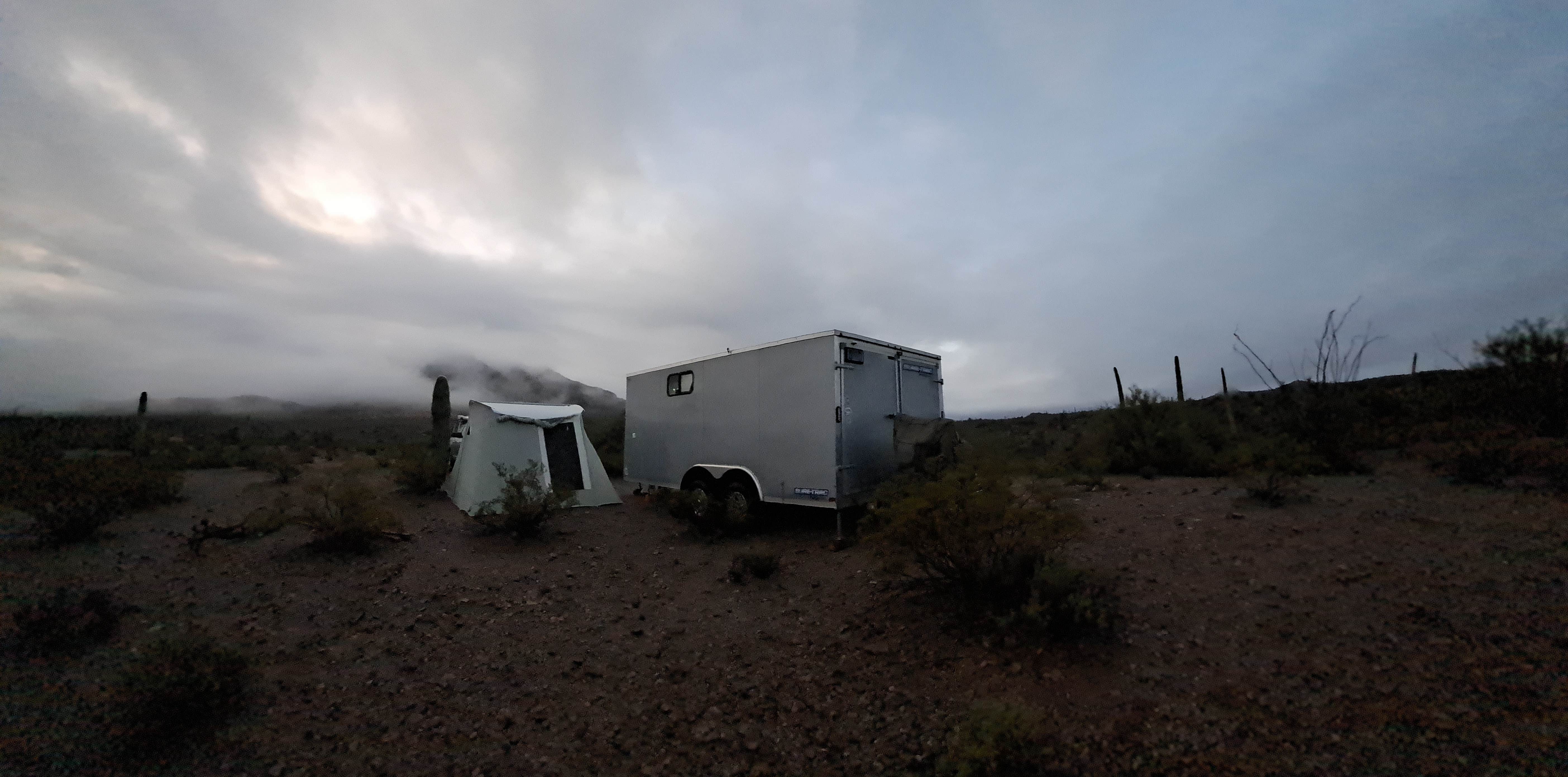 Becky's photo at Darby Wells Rd BLM Dispersed near Organ Pipe Cactus National Monument