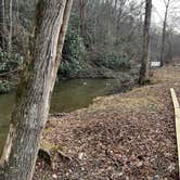 Review photo of Camp Burson Campground — Hungry Mother State Park by Casey L., February 16, 2023