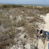 Review photo of Fort Pickens Campground — Gulf Islands National Seashore by Joy W., February 23, 2023