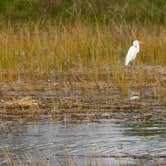 Review photo of Skidaway Island State Park Campground by Kelly M., September 29, 2018