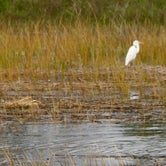 Review photo of Skidaway Island State Park by Kelly M., September 29, 2018