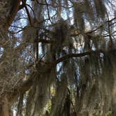 Review photo of Skidaway Island State Park Campground by Kelly M., September 29, 2018