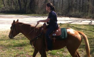 Maddi P.'s photo of camping with a horse at Whetstone Horse Camp near Marble, NC