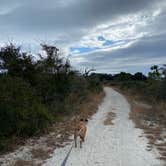 Review photo of Fort Pickens Campground — Gulf Islands National Seashore by Crystal H., February 24, 2023