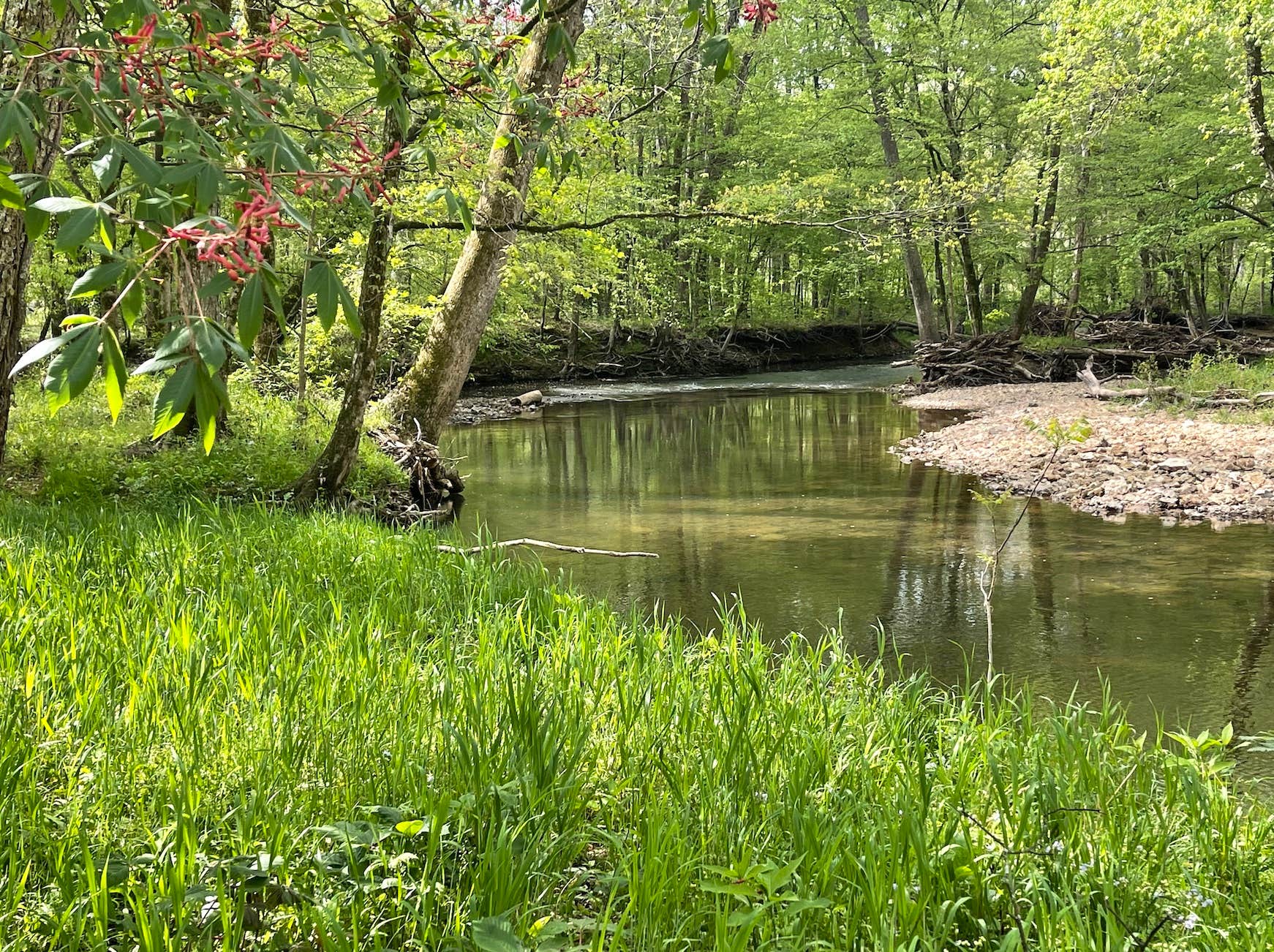 Camper-submitted photo at Red Coach Resort near Union Grove, AL