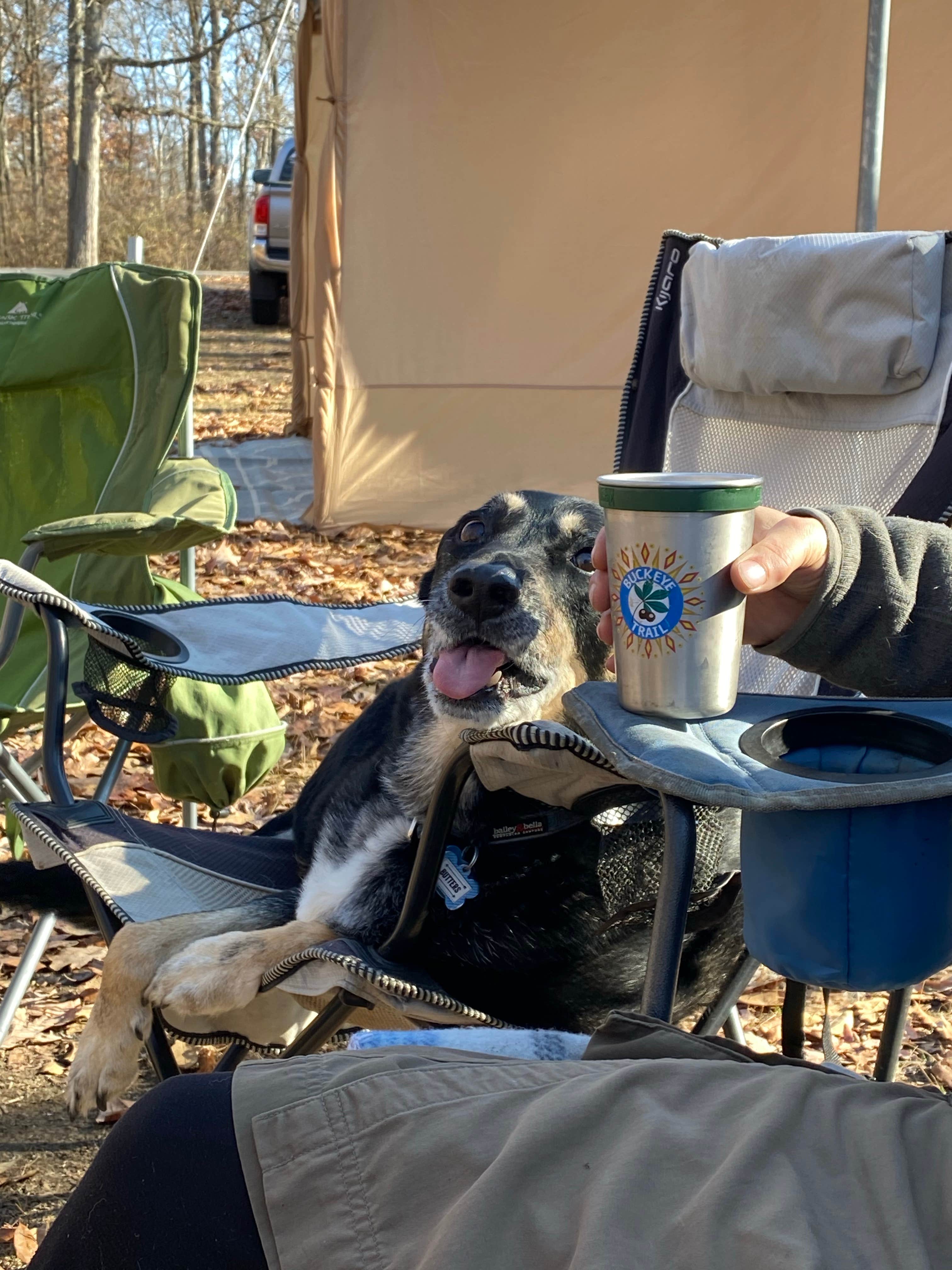 Shannon G.'s photo of camping with pets at Deer Creek State Park Campground near Bourneville, OH
