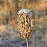 Review photo of Deer Creek State Park Campground by Shannon G., February 24, 2023