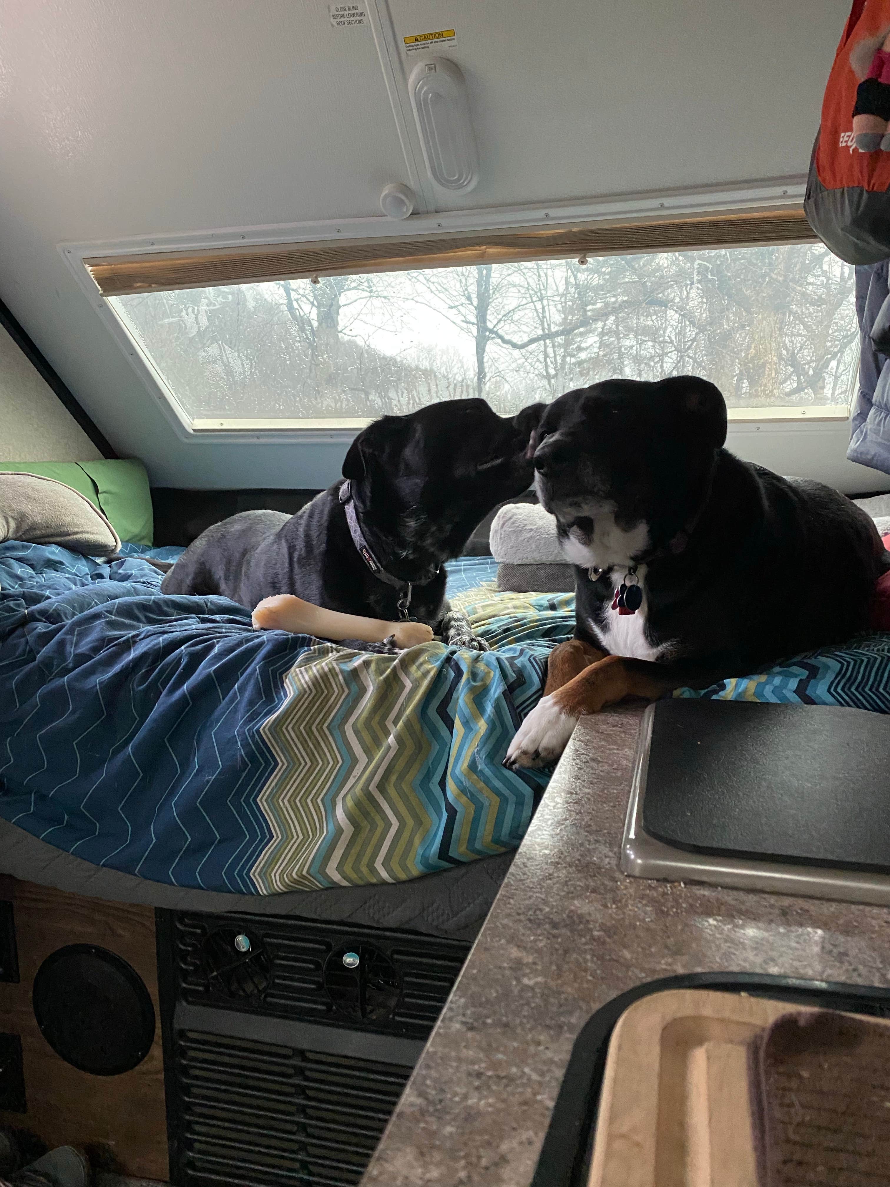 Shannon G.'s photo of glamping accommodations at Mohican State Park Campground near Delaware Lake