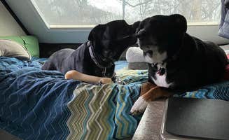 Shannon G.'s photo of glamping accommodations at Mohican State Park Campground near Pataskala, OH