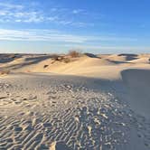 Review photo of Monahans Sandhills State Park Campground by Brett D., February 24, 2023