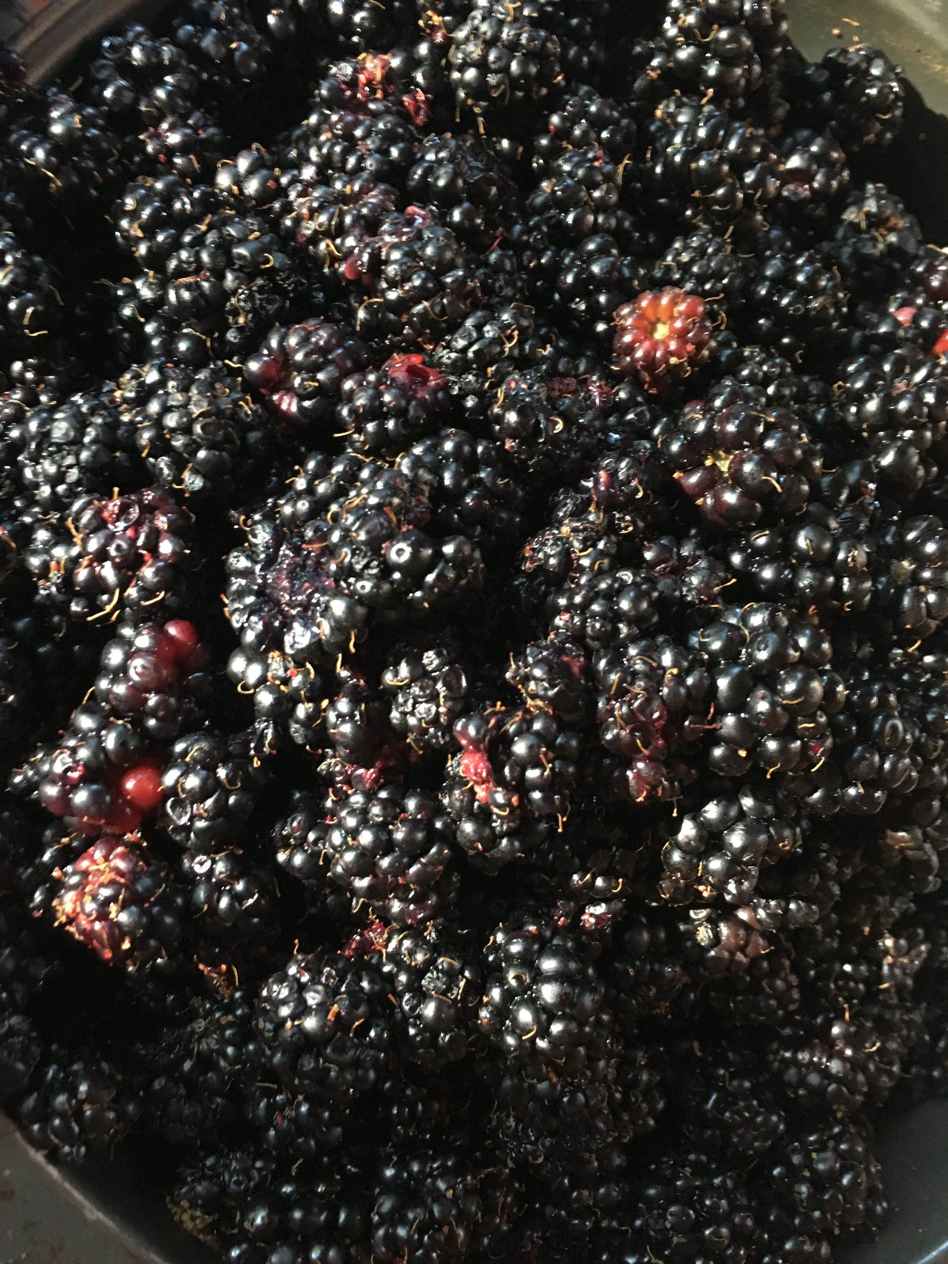 Camper-submitted photo at Camano Island State Park Campground near Marysville, WA