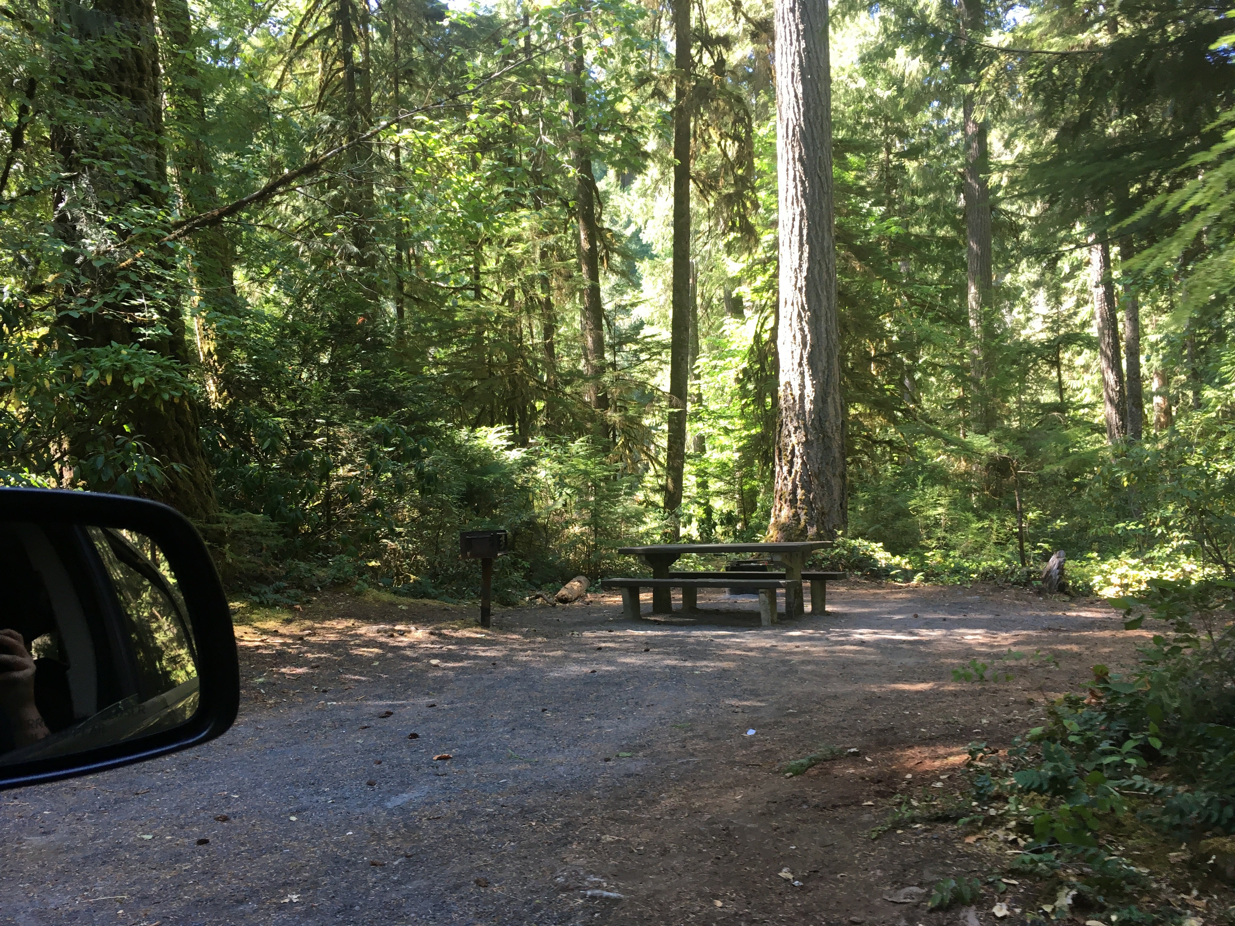 Camper submitted image from Whispering Falls Campground - 2
