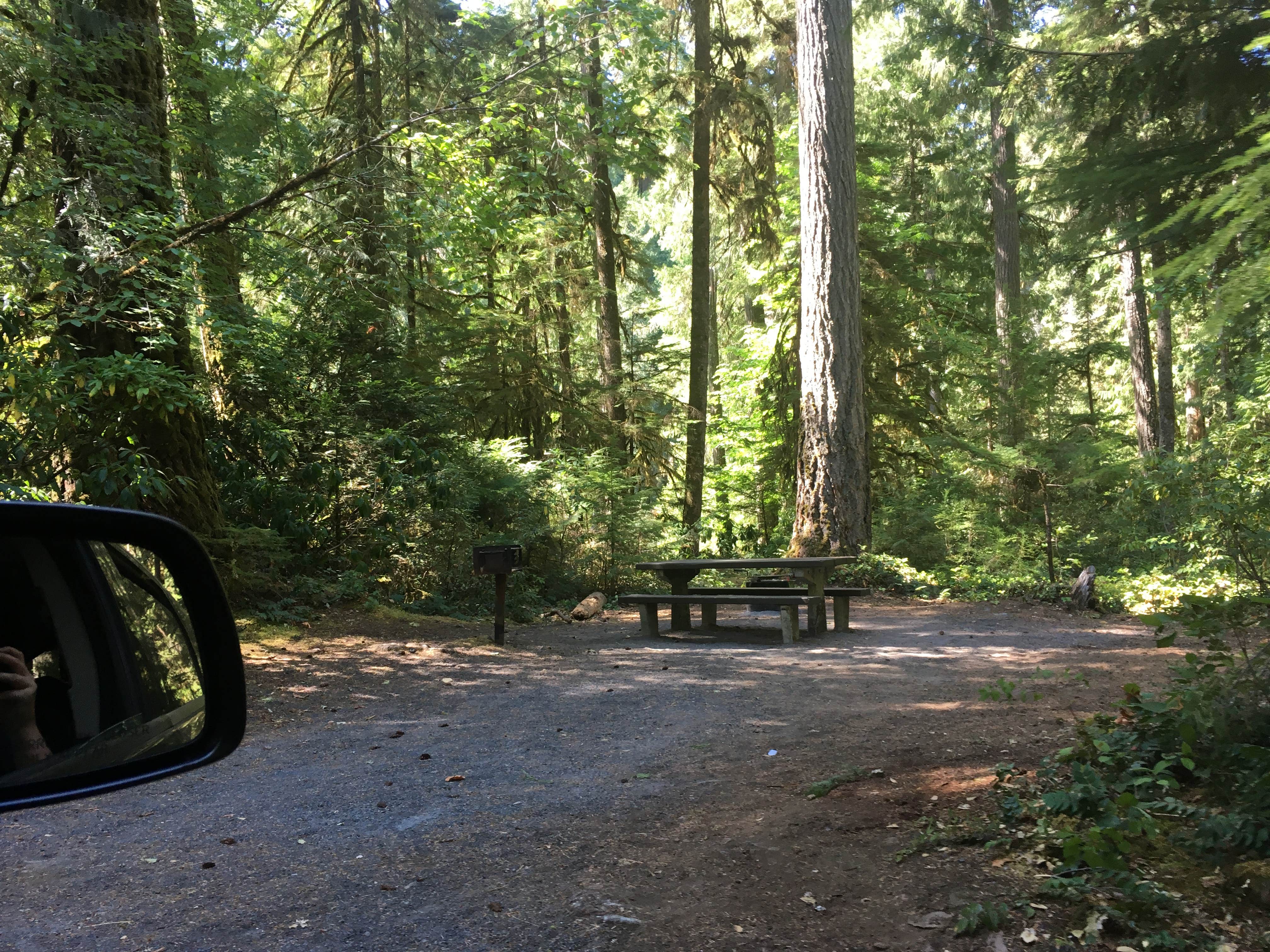 Camper submitted image from Whispering Falls Campground - 2