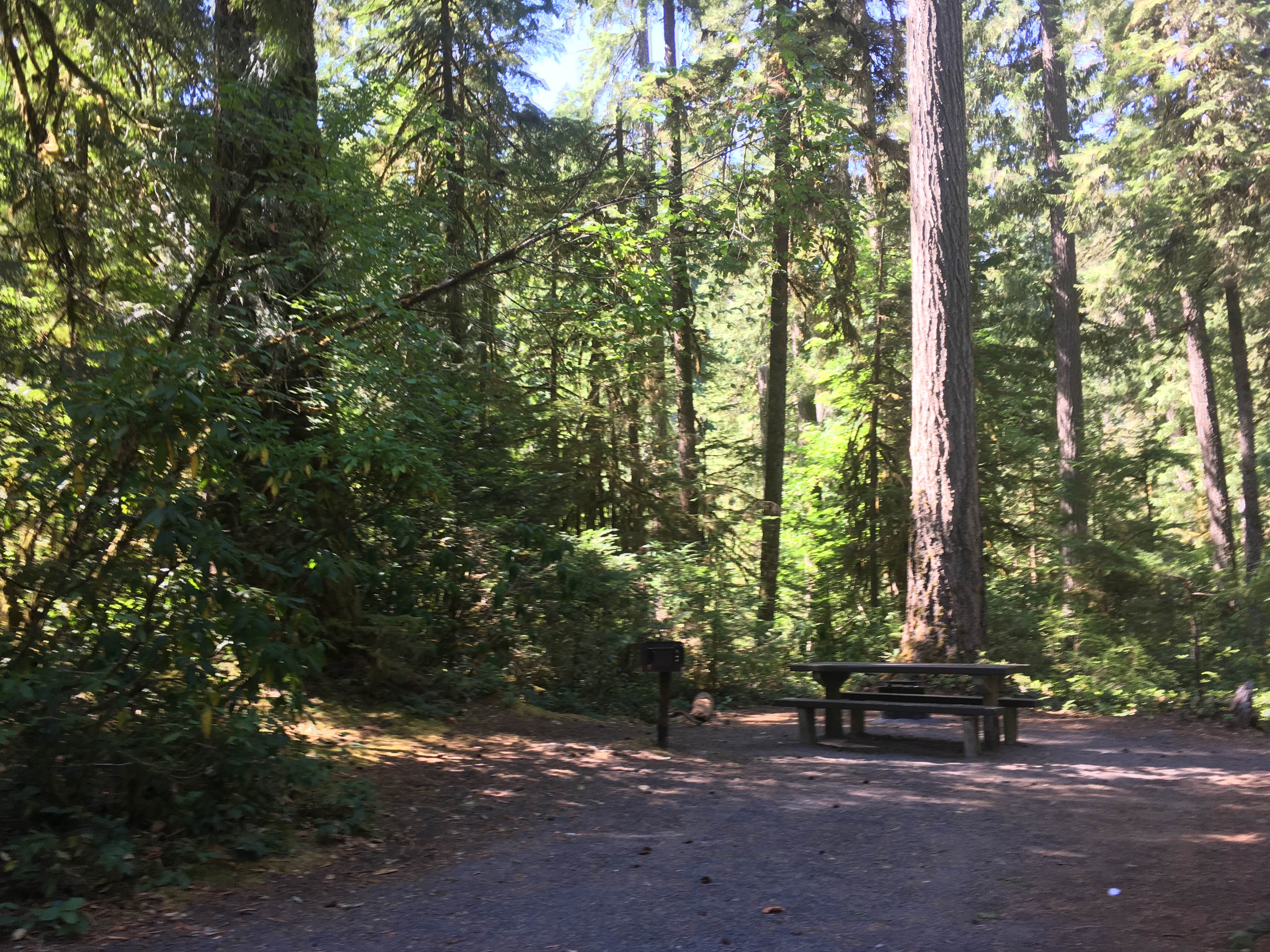 Camper-submitted photo at Whispering Falls Campground near Detroit, OR
