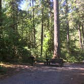 Review photo of Whispering Falls Campground by Kelly N., September 30, 2018