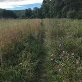 Review photo of Beaver Pond Campground — Harriman State Park by Emma N., September 27, 2018