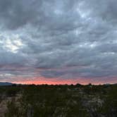 Review photo of BLM Sonoran Desert National Monument - Vekol Road Dispersed Camping Area by Toree M., February 24, 2023