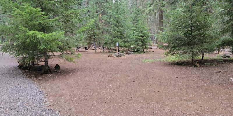 Camper submitted image from Fish Lake Resort