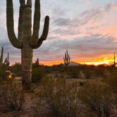 Review photo of BLM Ironwood Forest National Monument - Pipeline Rd Dispersed camping by Haley L., February 25, 2023