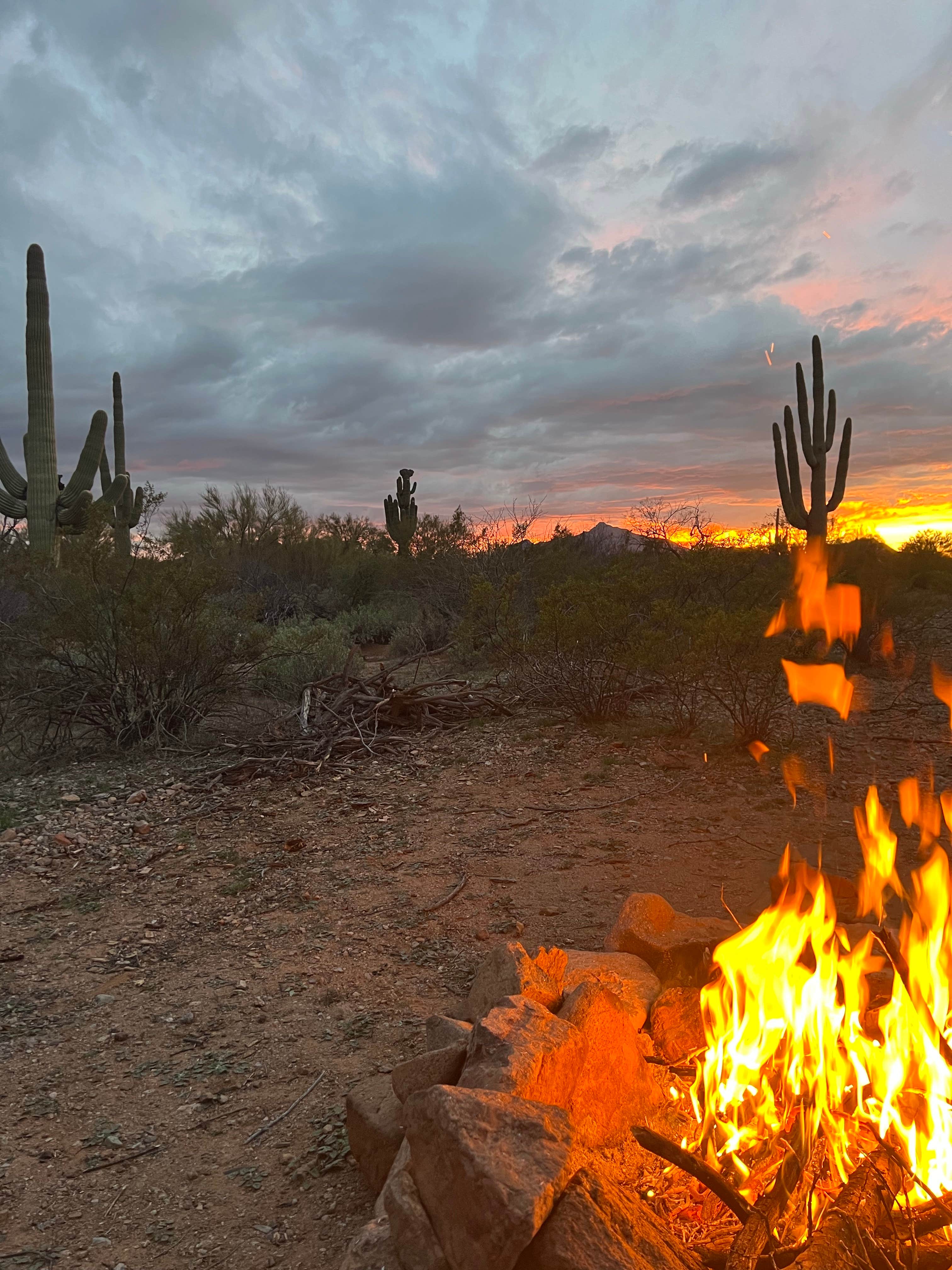 BLM Ironwood Forest National Monument - Pipeline Rd Dispersed camping