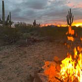 Review photo of BLM Ironwood Forest National Monument - Pipeline Rd Dispersed camping by Haley L., February 25, 2023