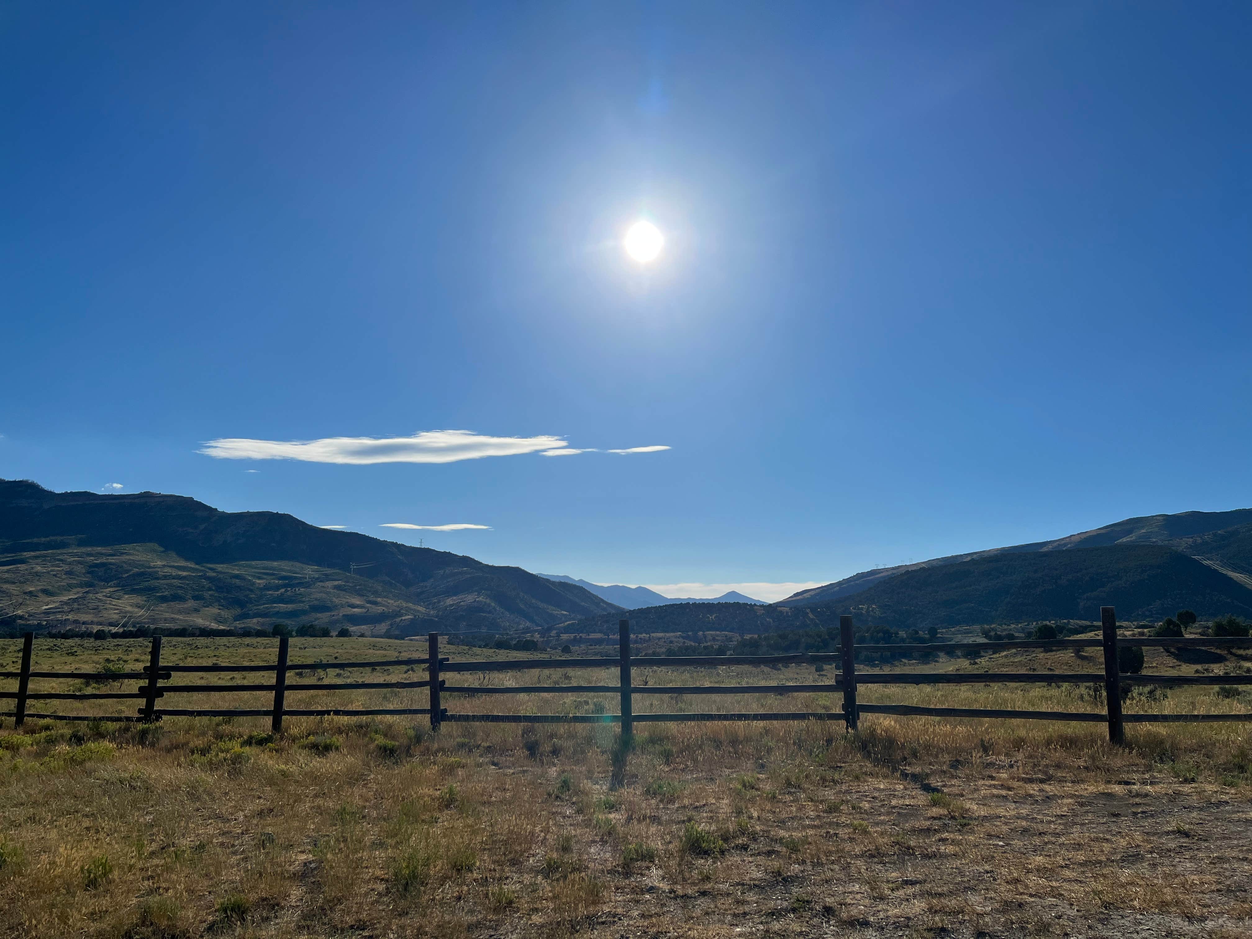 Haley L.'s photo of a dispersed camping area at Sheep Creek near Payson, UT
