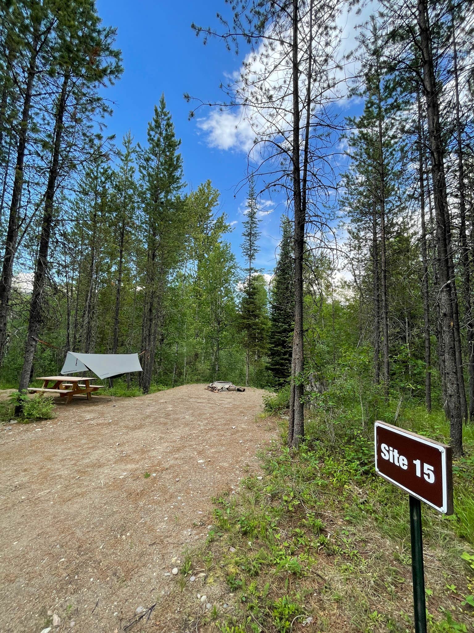 Camper submitted image from Glacier HipCamp (6 mins to West Glacier National Park) 🏕️ - 2