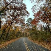 Review photo of Tyler State Park Campground by Sam E., February 25, 2023