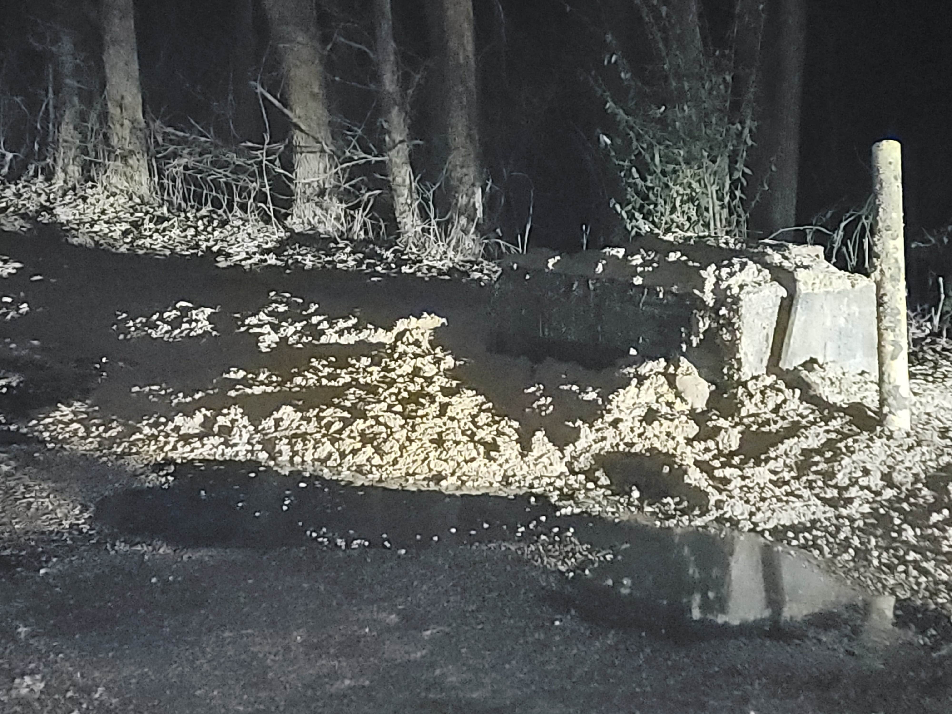 Camper submitted image from South Oaks RV & Mobile Home Park - 2