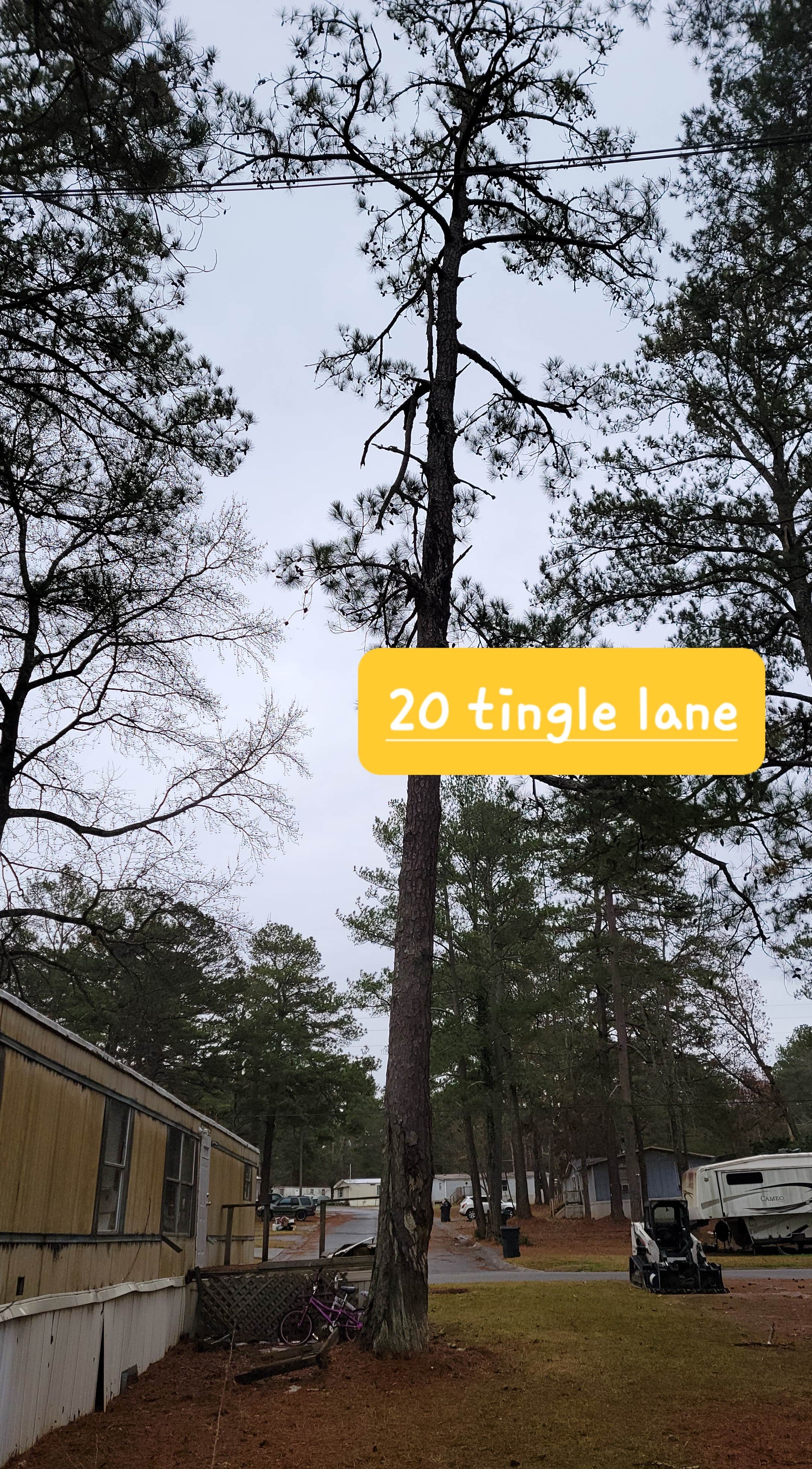 Camper submitted image from South Oaks RV & Mobile Home Park - 4