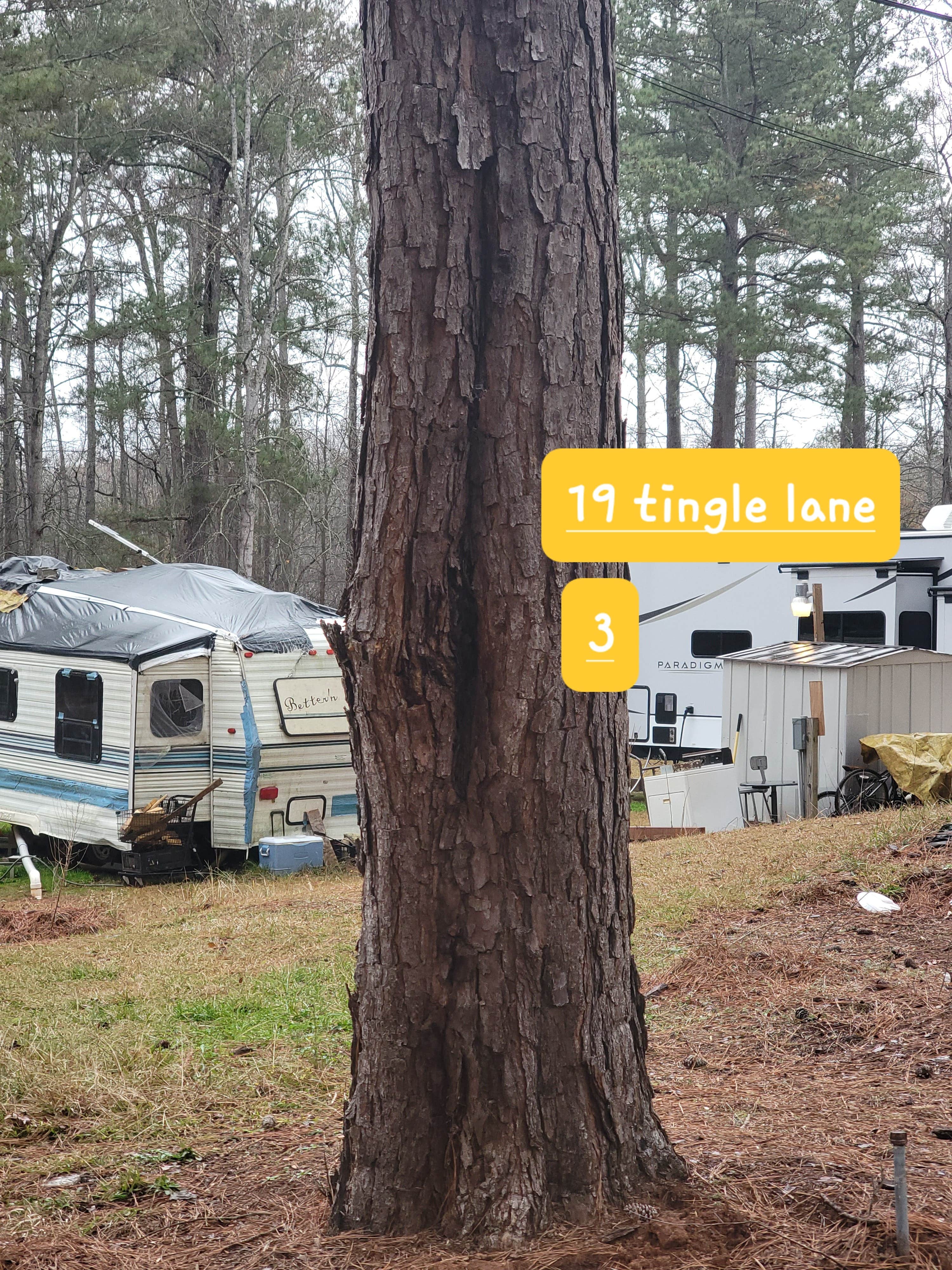 Camper-submitted photo at South Oaks RV & Mobile Home Park near Marietta, GA