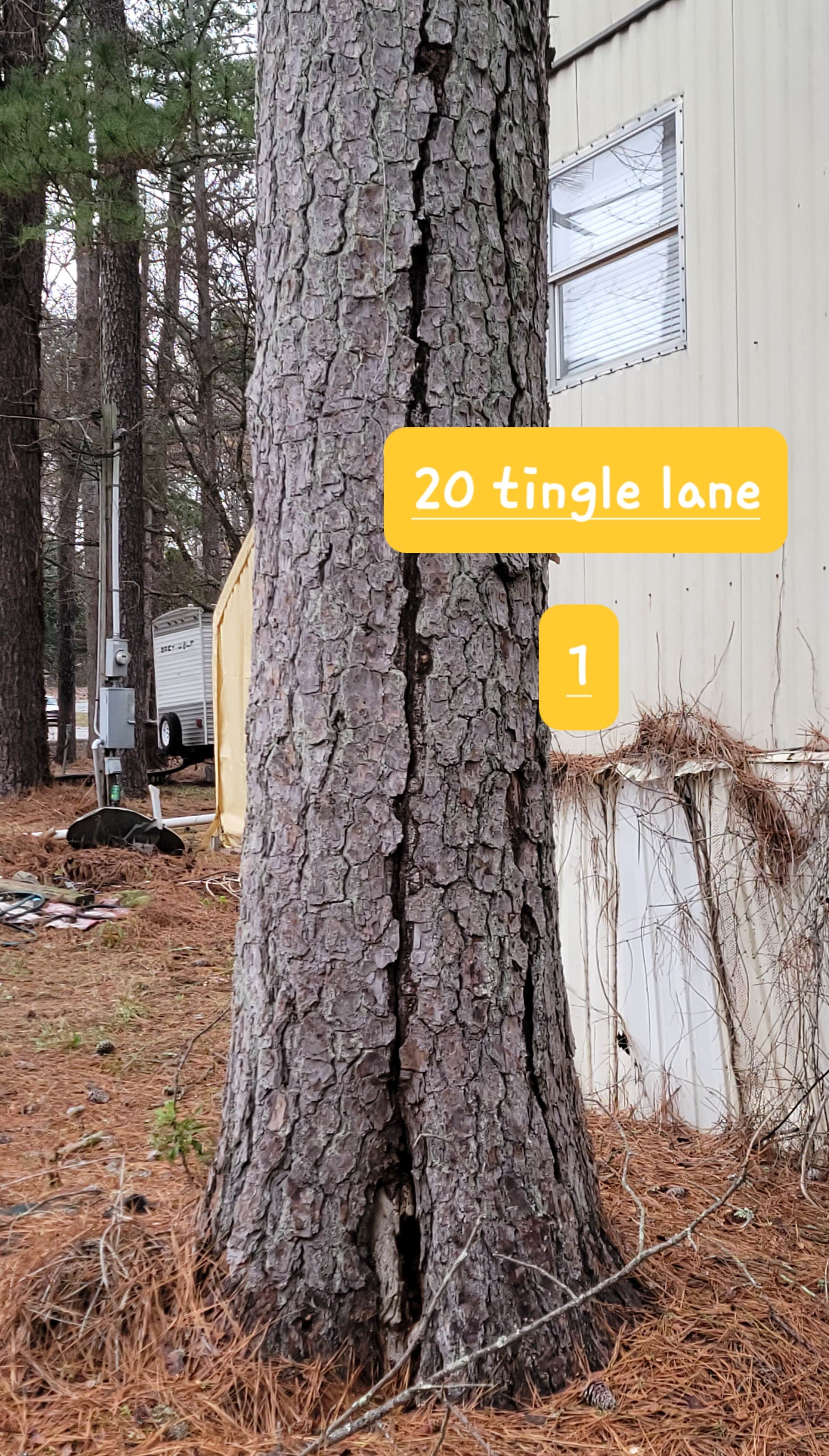 Camper-submitted photo at South Oaks RV & Mobile Home Park near Marietta, GA