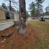 Review photo of South Oaks RV & Mobile Home Park by Richard M., February 25, 2023