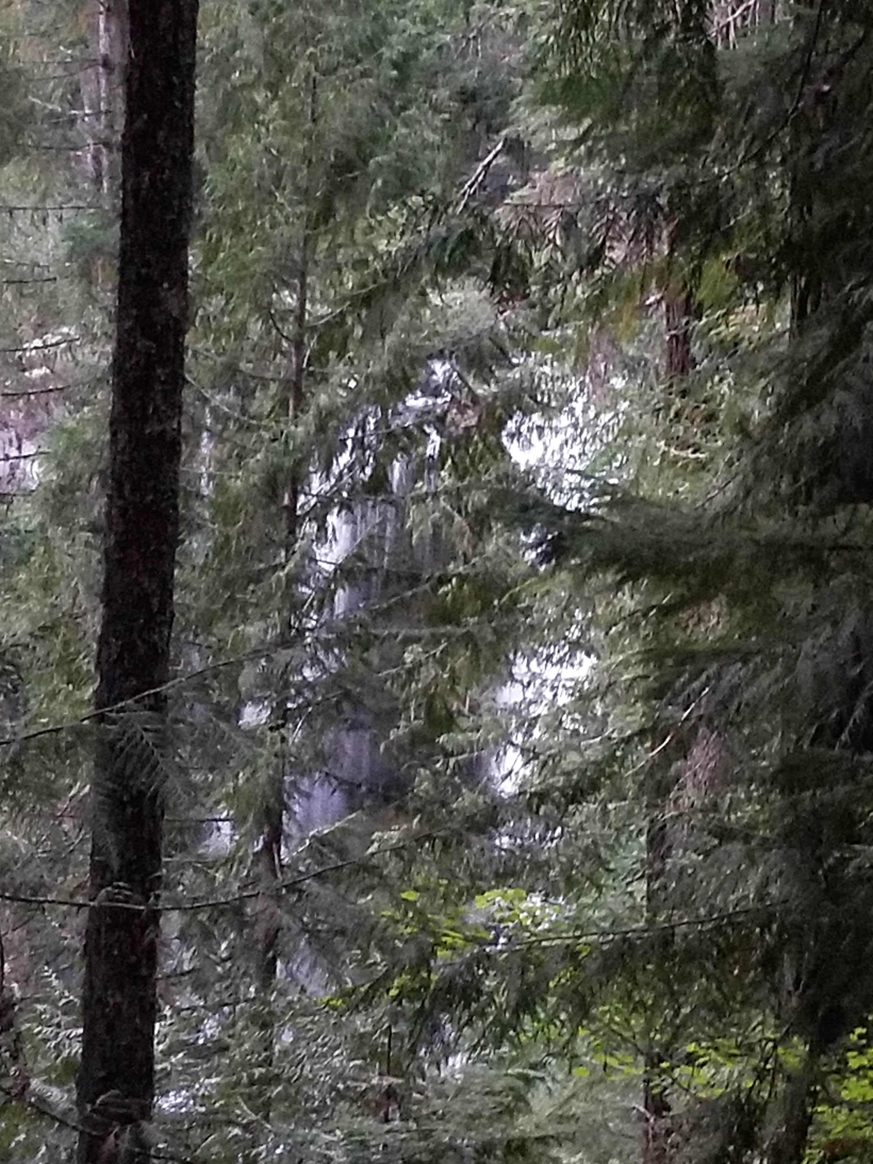 Camper-submitted photo at Koosah Falls near Mckenzie Bridge, OR