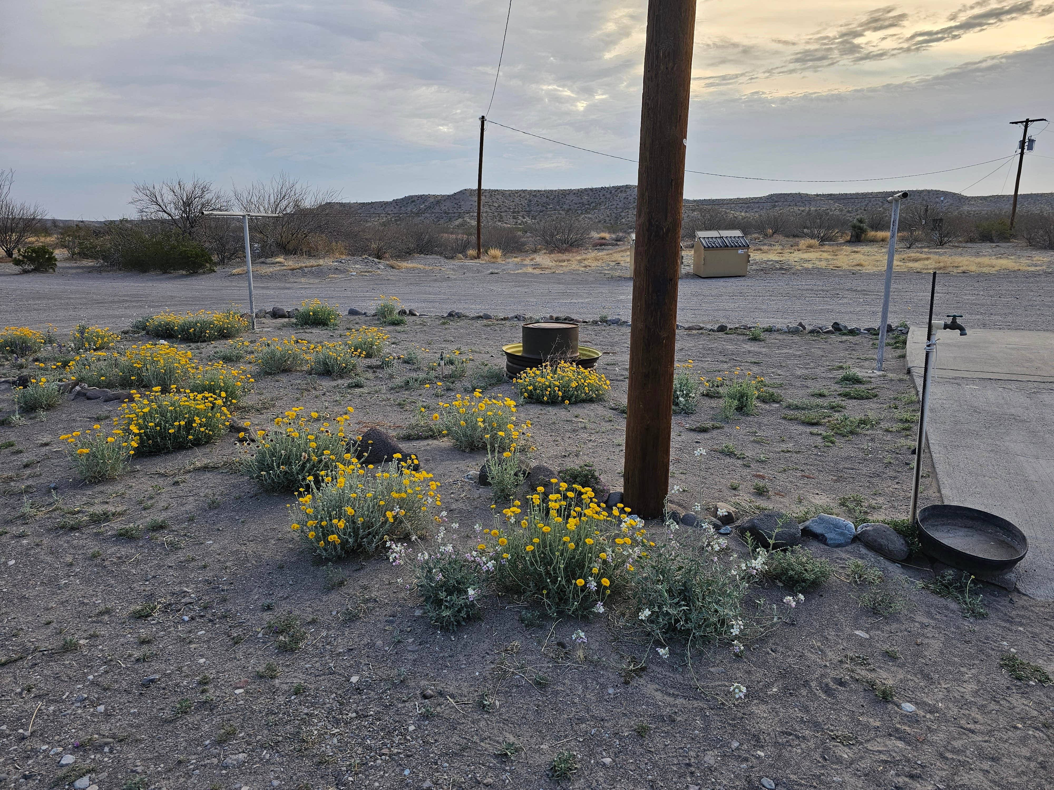 Camper-submitted photo at Loma Paloma RV Park near Terlingua, TX