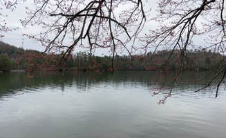 Colton F.'s photo of a dispersed camping area at Lake Santeelah Dispersed near Tallassee, TN