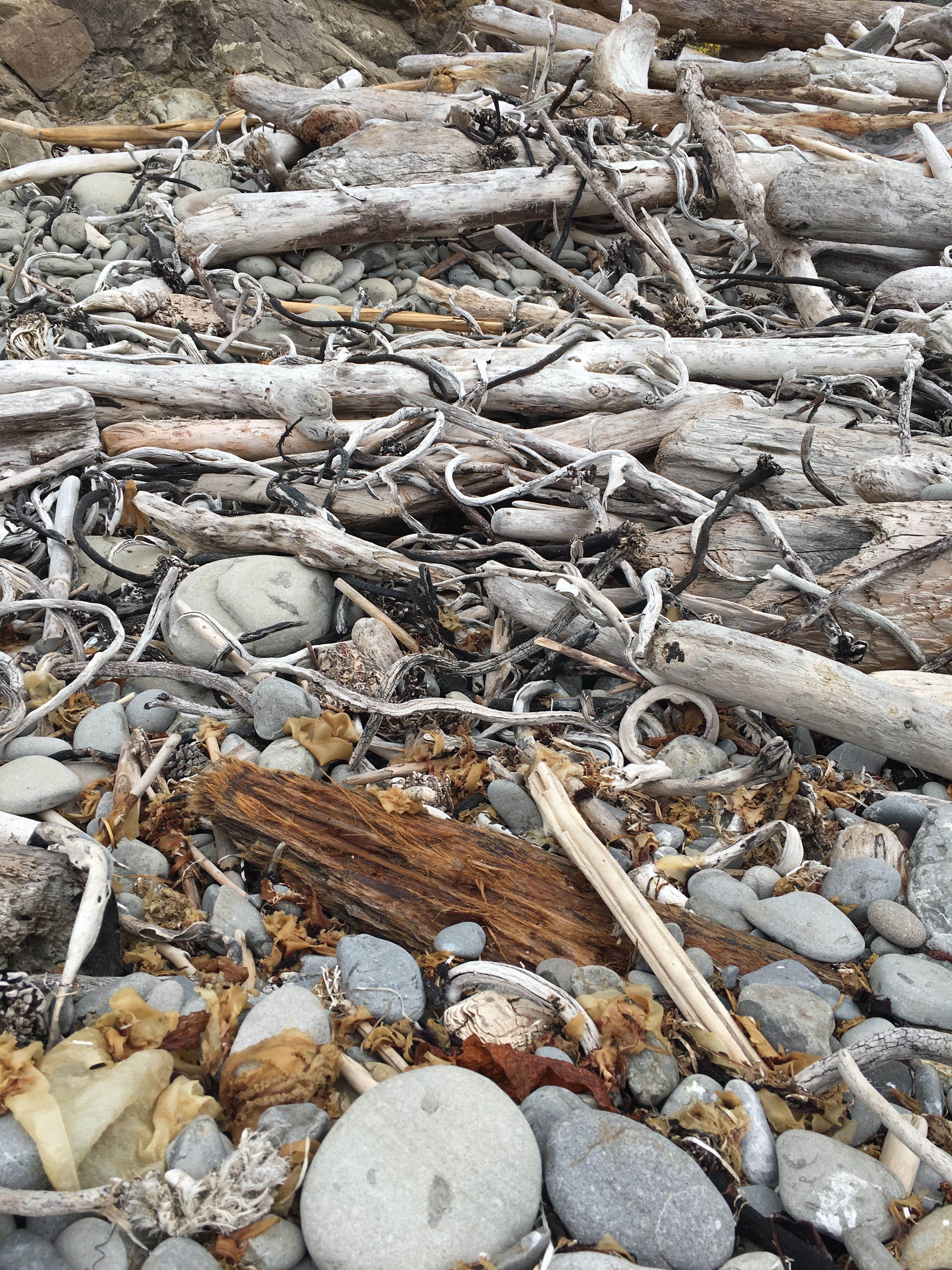 Camper-submitted photo at Second Beach — Olympic National Park near Forks, WA