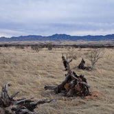 Review photo of Empire Ranch Area Dispersed Camping by Becky , February 25, 2023