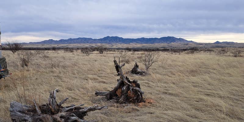 Camper submitted image from Empire Ranch Area Dispersed Camping