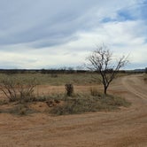 Review photo of Empire Ranch Area Dispersed Camping by Becky , February 25, 2023