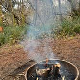 Review photo of Grayland Beach State Park Campground by Taryn L., February 25, 2023