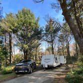 Review photo of Grayland Beach State Park Campground by Taryn L., February 25, 2023